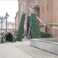 Come nasce un Albero di Natale?