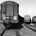 5 righe di giornata. Logistica: ognuno faccia la sua parte!