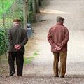 5 righe di giornata. Il Municipio propriet privata