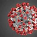 Comunicare col virus: 5R
